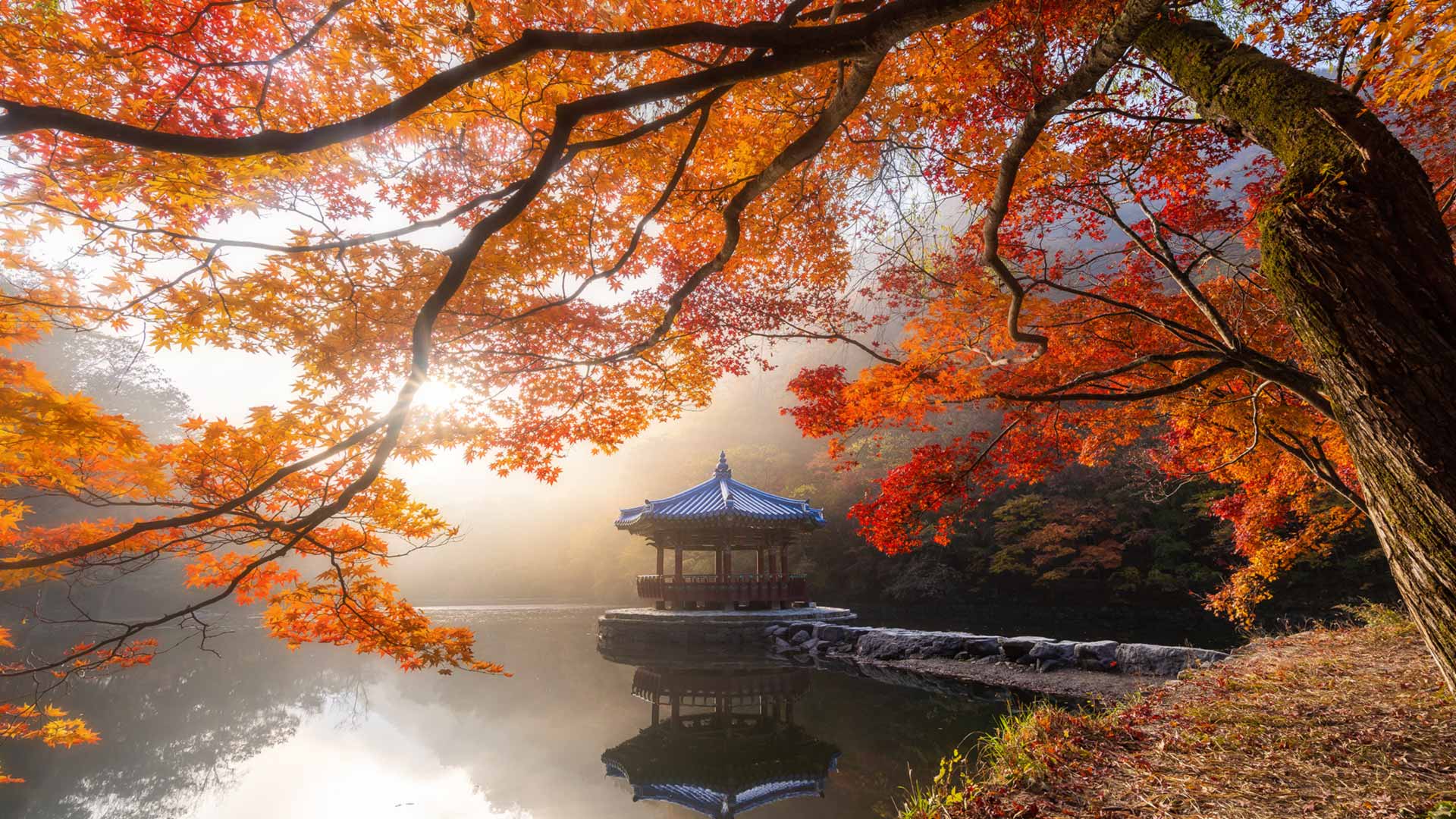必应每日壁纸